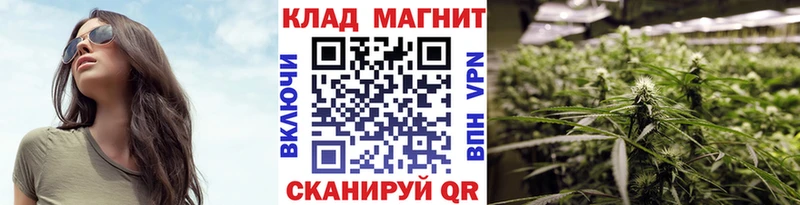 Купить закладку Амфетамин  Меф мяу мяу  СОЛЬ  Марихуана  Псилоцибиновые грибы  Cocaine  Медногорск