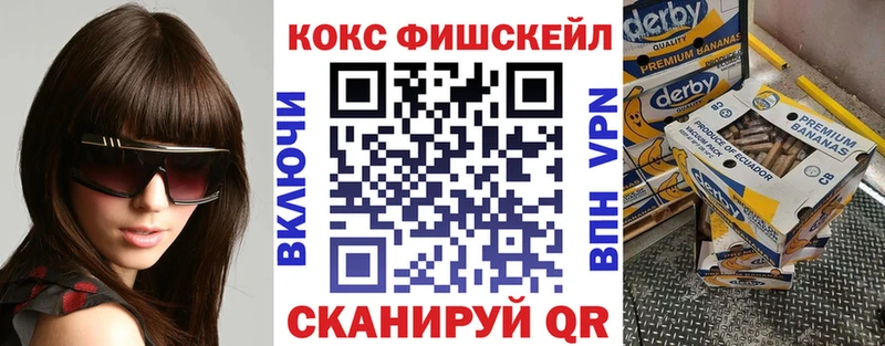 Купить закладки  Медногорск  Cocaine FishScale 