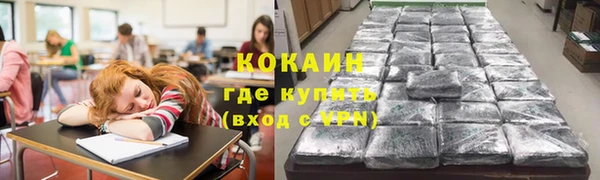 твердый Вяземский
