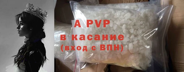твердый Вяземский