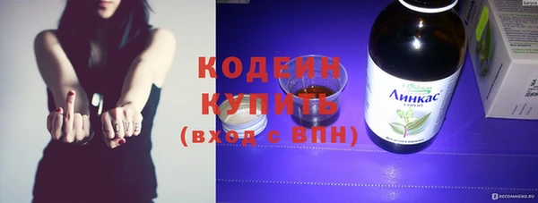 твердый Вяземский