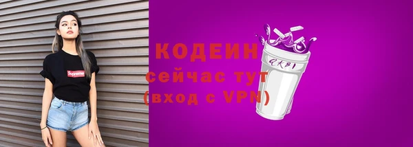 твердый Вяземский