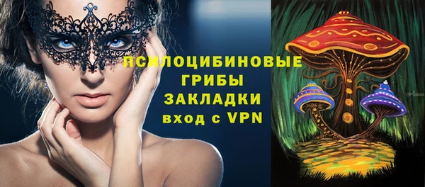 твердый Вяземский