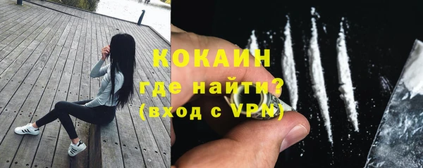 твердый Вяземский