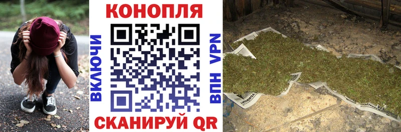 Купить  Медногорск  Канабис сатива 